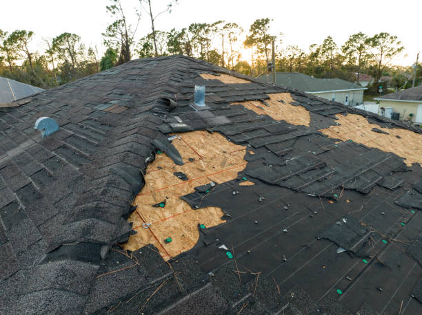 Best Green or Eco-Friendly Roofing Solutions  in Russell Springs, KY